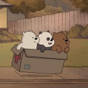 Discovery icon for 🧸　₊　/bears ⋆˙⟡ Discord server
