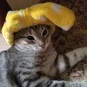 тимкины сказочки