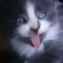 binoo Discord server icon