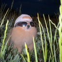 Zamaqx’s and rev’s basement avatar