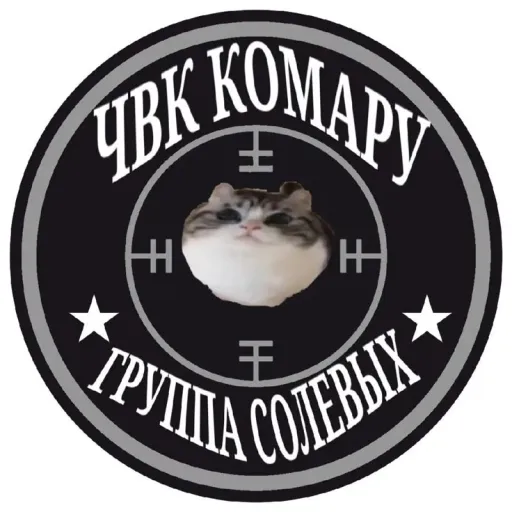🐈 ЧВК КОМАРУ 🐈 — мониторинг Discord сервера, статистика и рейтинг