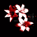 ! Chyna Discord server icon