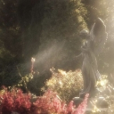 ๑♪ 𝘧𝘳𝘶𝘪𝘵 𝘣𝘢𝘴𝘬𝘦𝘵 ♪๑ Discord server icon