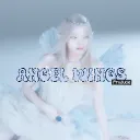 ํ  ݂ 𝐀ngel wings produ  ݂  👼⃞