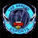 Dragon Esports