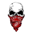• Bloods