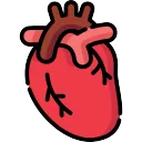 faneczki nataleczki🤪🤪🤪🤪🐴🐴