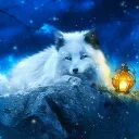 Moonlit Fox
