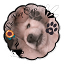 ☁   ⁑!The Pup Cup!⁑   ☁