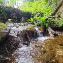 Chopper Test Server Discord server icon