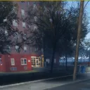 BTC | Bee Town Crips