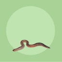 Worm’s Wonderful World 18+ Discord server icon