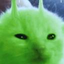 Server Icon