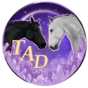 The Amethyst Dynasty OS