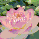 indi