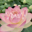 indi icon