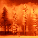 The Wasteland | Daily Raffles & Giveaways Discord server icon