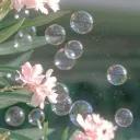 The fairy garden ˖𐦍˖