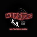 WolfBytes Radio Hangout Discord Server Icon