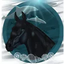 Water Dolphins OS disbanded