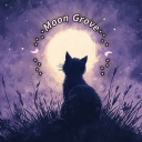 ⋆⁺₊⋆ ☾⋆⁺₊⋆𝙈𝙤𝙤𝙣 𝙂𝙧𝙤𝙫𝙚⋆⁺₊⋆ ☾⋆⁺₊⋆ Discord server icon