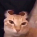 W31RDF4ND0MW0ND3R Discord server icon