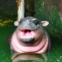 Unnamed Server Discord server icon