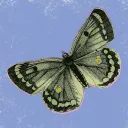 Bugtopia