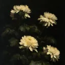 𐔌  .  Chrysanthemum SMP S3  !  ୧