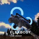 Flexbody Car Crash server icon