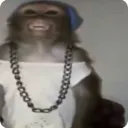 V1 HATERS