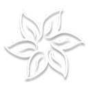 The Fifth Compendium