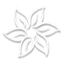 The Fifth Compendium Discord server icon