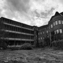 𓆩𓆪 The Asylum. Discord server icon