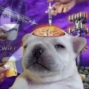 pibble slaves05 (ex.G00ners-freaks!)'s icon