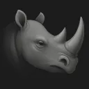 wowpoacher.io