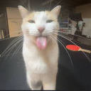 Bleh Discord server icon