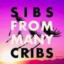 Sibs From Many Cribs ☼ ⊹ ࣪ ˖