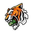 HELIPA E-SPORTS 🐯 300K FREE FIRE