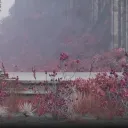 𝙵𝚛𝚒𝚎𝚗𝚍𝚜 𝙷𝚊𝚗𝚐𝚘𝚞𝚝 𝙰𝚛𝚎𝚊's icon