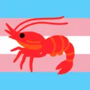 shrimp loving server