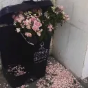 Server icon for Flower bin