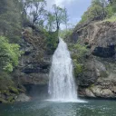 Kokoro's Fan Club Banner
