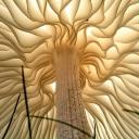 Under the Mushroom Roof