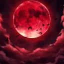 Mooon🌙