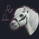Revontulet Dressage OS