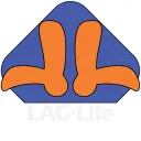 LagLife’s Server