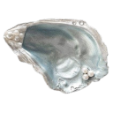 𝜗．Blue Spring High