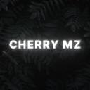 Cherry Modz    Discord Server Icon