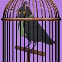 BirdCage